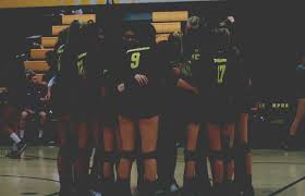 Image result for Newbury Volleyball Club