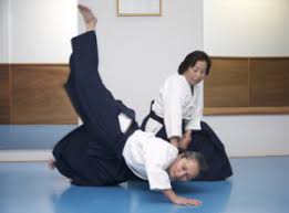 Image result for Fudokai Aikido Dojo