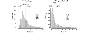 Attēlu rezultāti vaicājumam “Harminius undulatus”