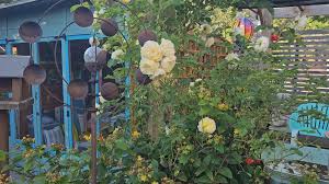 Image result for Bristol St Andrews Bowling Club Ltd