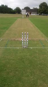 Image result for Long Sutton Cricket Club