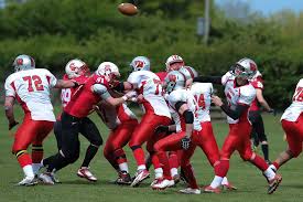 Image result for Edinburgh Wolves