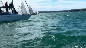Image result for Paignton Sailing Club