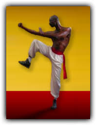 Image result for Kung Fu Wing Chun Club - University of Birmingham Sport