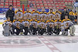 Image result for Bury Jaguars Hockey Club