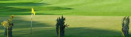 Image result for Romanby Golf Course