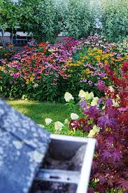 Attēlu rezultāti vaicājumam “Cystiphora sanguinea”