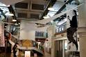 Old Town Overview: Photos, Stats, Crime, Home Sales and Schools on ...