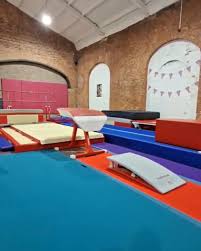 Image result for Border Counties School Of Gymnastics