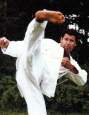 Image result for Jin Sei Kai Shotokan Karate