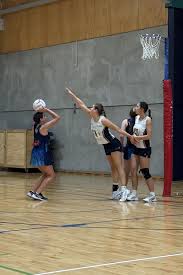 Image result for Beeches Netball Club