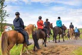 Image result for The Riding Centre