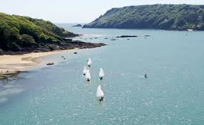 Image result for Salcombe Yacht Club