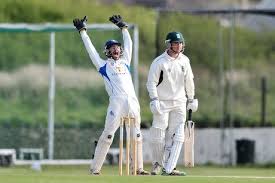 Image result for North Devon Cricket Club
