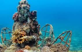 Image result for Ruislip Snorkelling Club