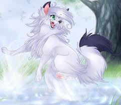 http://t0.gstatic.com/images?q=tbn:ANd9GcSeQk6hlTwKrznVAqHU18HltaUf2CSQ-l3zgcr70vBrWgnj9_kV