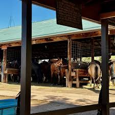 Image result for Carman Stables Archery