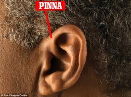 Image result for "イシュタールの暁星"