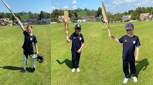 Image result for Ticknall Cricket Club