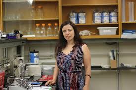 Image result for maralaser tehron