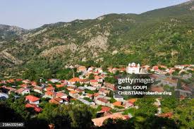 Risultati immagini per pedolesbo