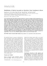 Attēlu rezultāti vaicājumam “Diachea leucopodia young”