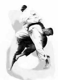 Image result for Exmouth Vikings Judo Club