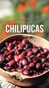 Image result for alubia grande