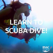 Image result for Kingston and Elmbridge Snorkellers