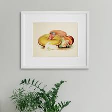 Attēlu rezultāti vaicājumam “Boletus luridus”