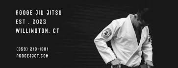 Image result for 210 JiuJitsu