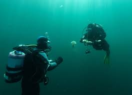 Image result for Uwe Sub Aqua Club