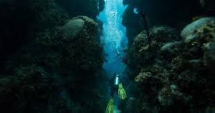 Image result for Deep Blue Diving