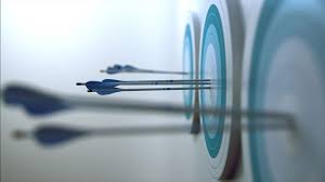 Image result for Blue Arrows Archery Club