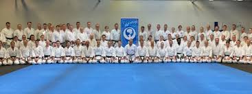 Image result for Independent Wadoryu Karate Federation