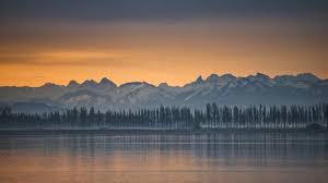 Image result for bilder