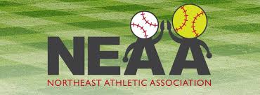 Image result for NORTHEAST TARGET & SPORTING ASSOCIATION