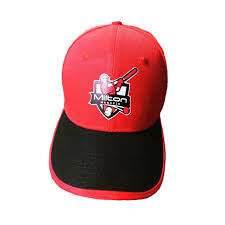 Image result for Milton Cricket Club