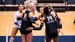 Image result for University Of Birmingham Volleyball Club
