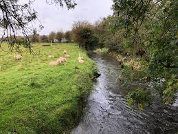 Image result for Whitland