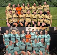 Image result for Chester-Le-Street & District Athletics Club