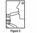 Proventil Inhalation Solution 0083%  Schering  Drug Reference