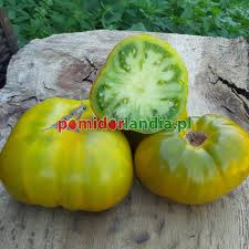 Afbeeldingsresultaat voor grubbs mystery green tomato
