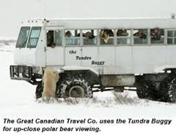 Image result for tundra buggy