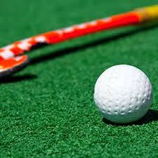 Image result for Lichfield Hockey Club