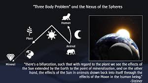 Image result for True stiners