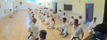 Image result for Backwell Karate