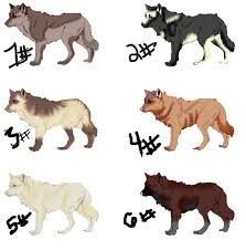 Realistic Wolf Designs (Adoptables) by ~warkillz on deviantART - realistic_wolf_designs__adoptables__by_warkillz-d54iq2a