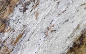 Attēlu rezultāti vaicājumam “Athelia pyriformis”