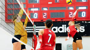 Image result for York University Volleyball Club